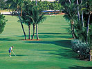 Tee up at one of 40 Fort Lauderdale area golf courses!